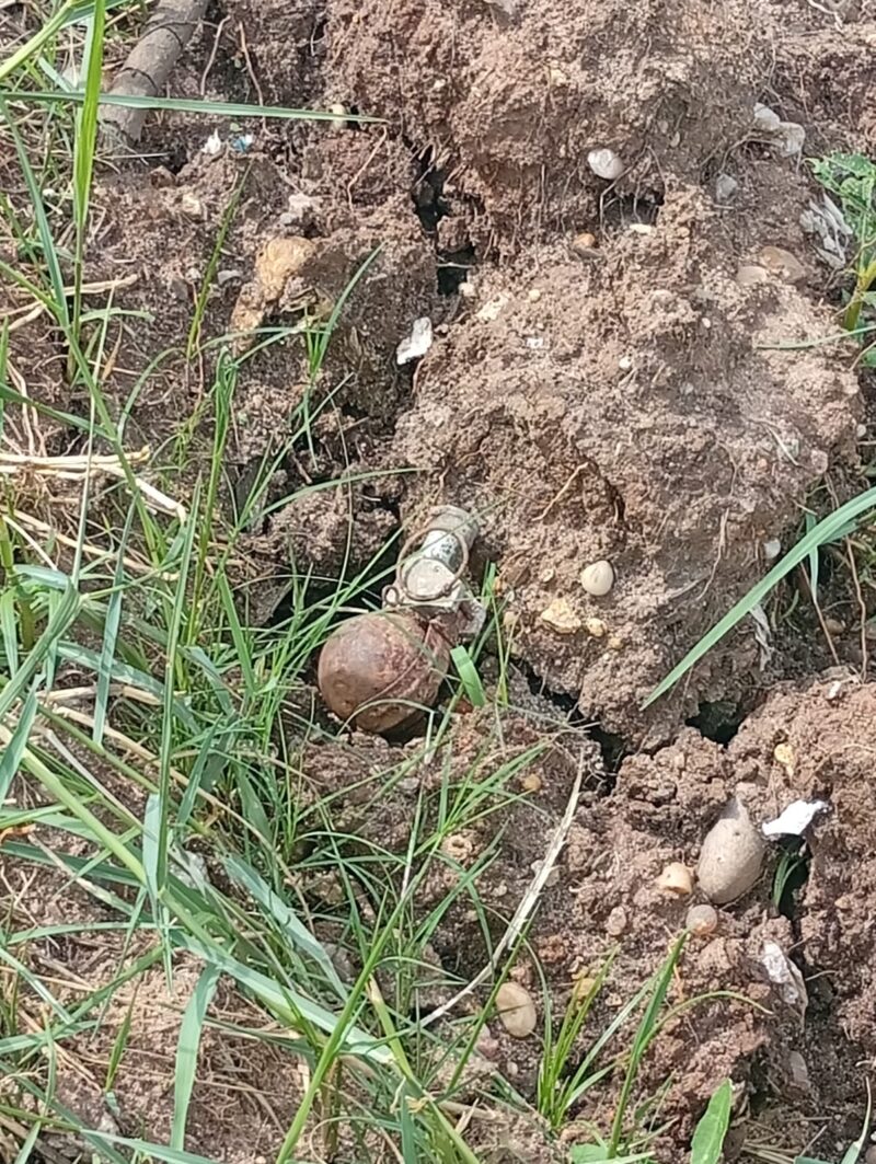 Paso de los Libres: paseaba con su perro y halló un artefacto explosivo