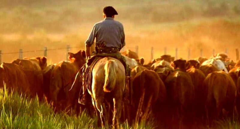 Sube hasta $374.954 las prestaciones por desempleo para trabajadores rurales