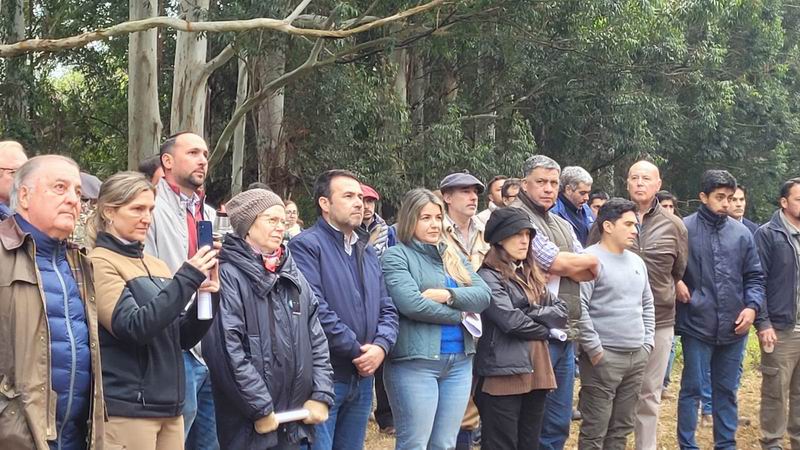Saladas y la región se expanden como puntos estratégicos del sector forestal