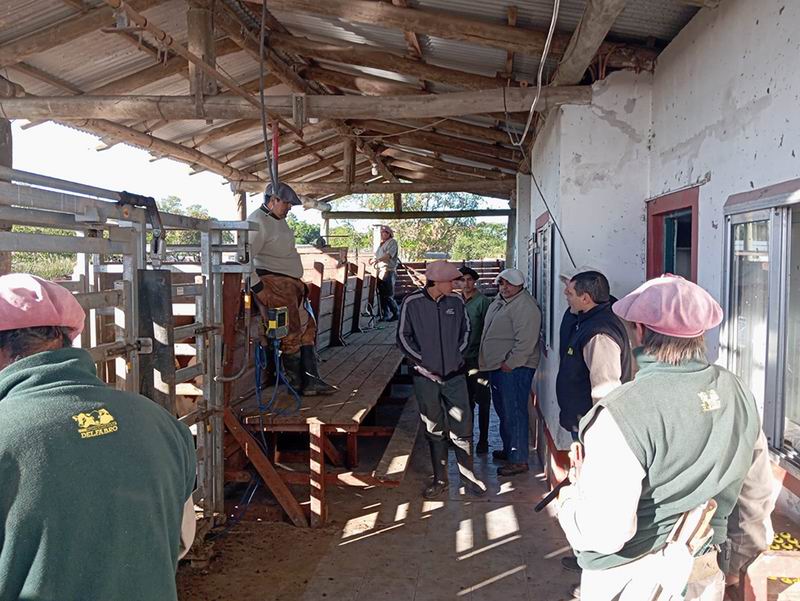 Alumnos de una agrotécnica harán pasantías en una cabaña de élite