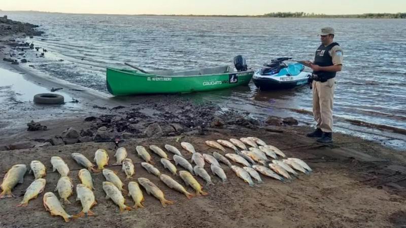 Refuerzan controles por delitos que atentan contra los recursos naturales