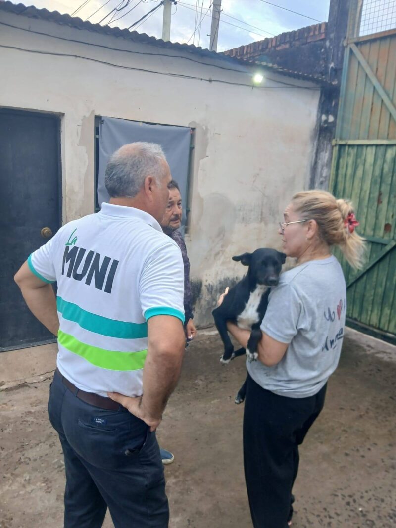 Rescatan a Negrita tras denuncias de un grave hecho de abuso