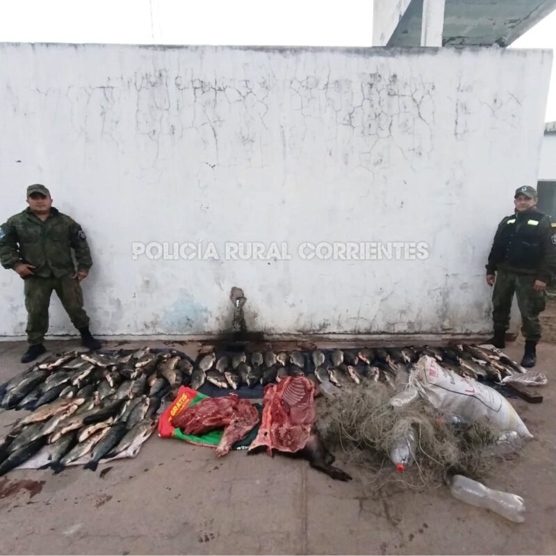 La Policía desbarató una banda dedicada a la caza y pesca ilegal en Corrientes