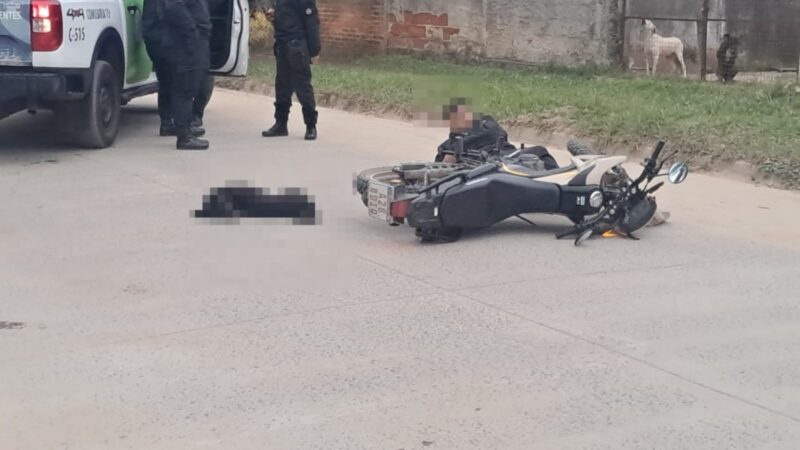 Un perro suelto provocó la caída de un motociclista: el animal murió en el lugar