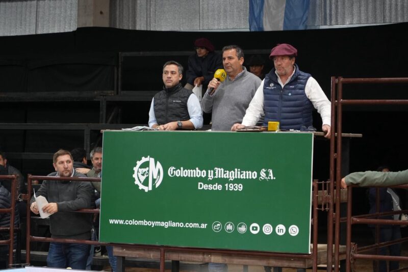 Braford cerró las Nacionales con números récord