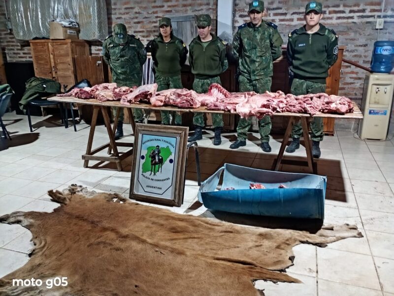 Secuestraron más de 120 kilos de carne con tierra, pasto y perdigones en una carnicería