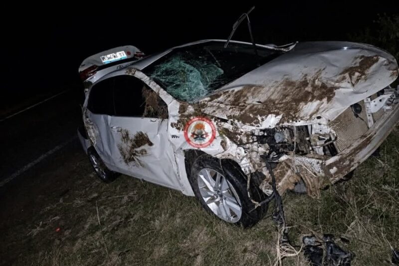 Un auto chocó contra un chancho salvaje en Ruta 123 y sus ocupantes debieron ser hospitalizados