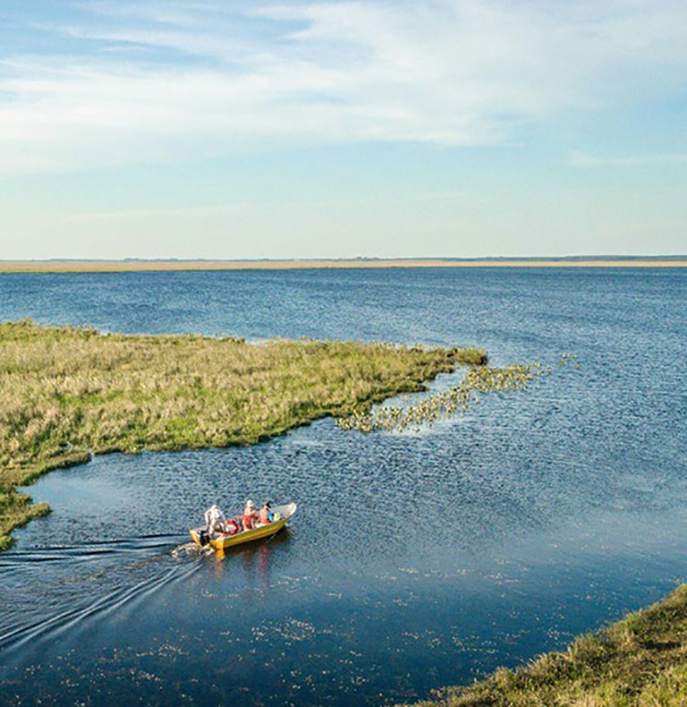Corrientes: naturaleza, cultura, ambiente y territorio
