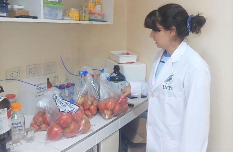 Producción: intensifican los controles a operadores en el Mercado Central