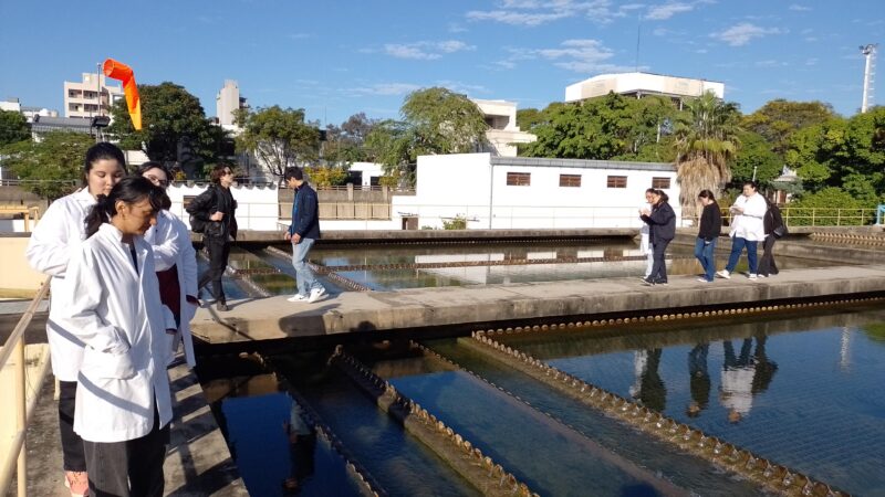 Semana del Medioambiente: Aguas de Corrientes refuerza su compromiso con la sostenibilidad
