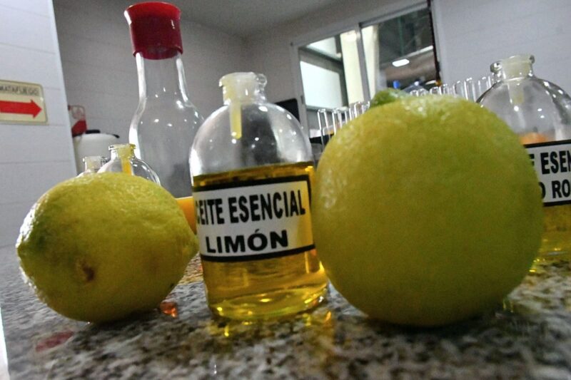 De Bella Vista al mundo: el limón local conquista los mercados de Europa y EE UU