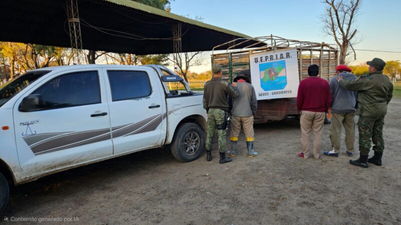 Golpe al abigeato: tres detenidos tras un operativo en la Ruta 57