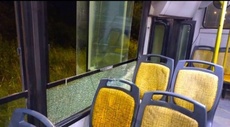 Ataques vandálicos: qué pasó con el servicio de las líneas 101 y 110