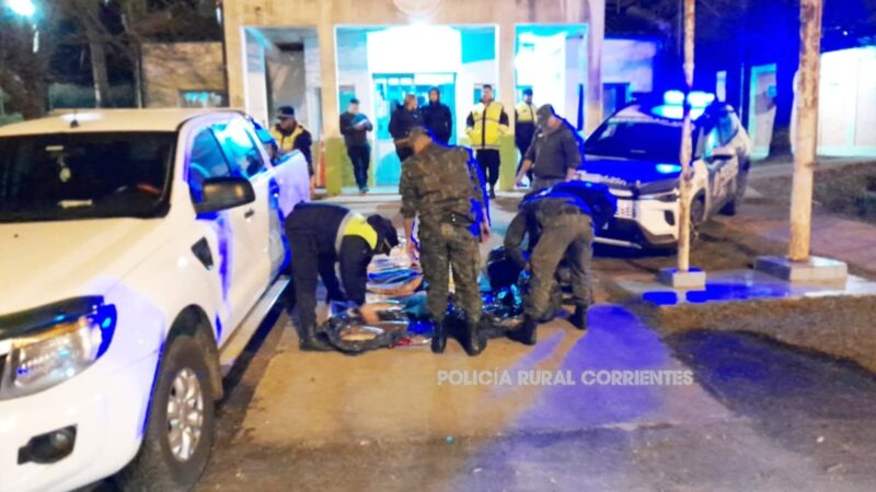 Golpe a la pesca ilegal: decomisan 123 ejemplares y secuestran una camioneta en Mocoretá