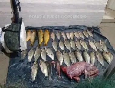 Detuvieron a cuatro personas con dorados y un guazuncho