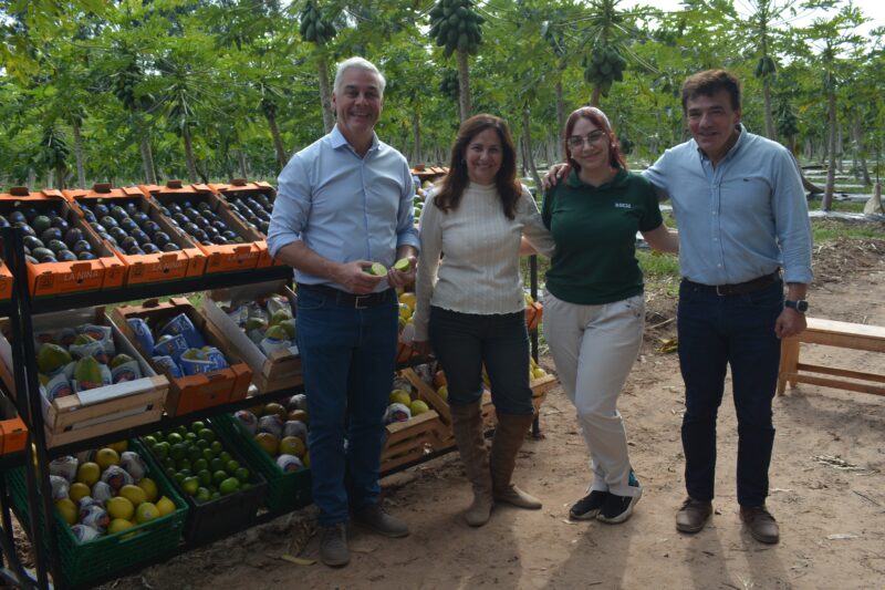 Un lugar en el mercado del café: la nueva apuesta productiva en suelo correntino