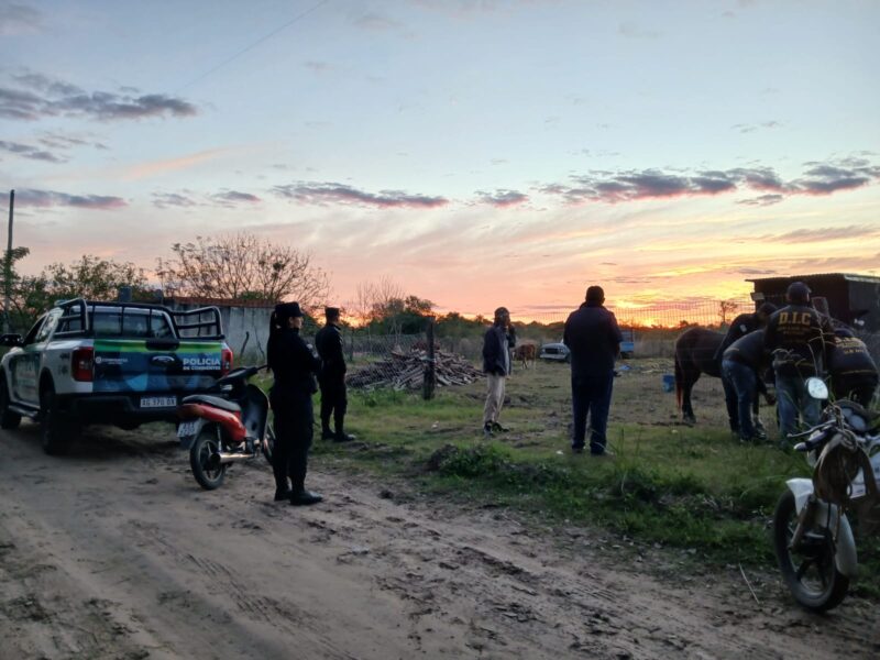 San Luis del Palmar: rescataron a tres caballos víctimas de abandono