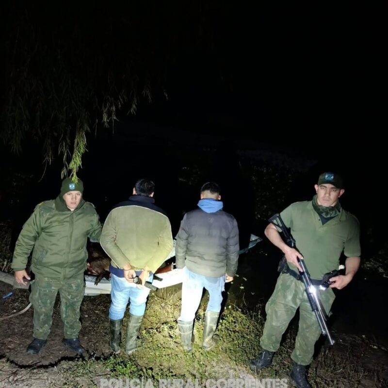 La Policía Rural sorprendió a dos cazadores con cinco carpinchos faenados en la Reserva Isoró
