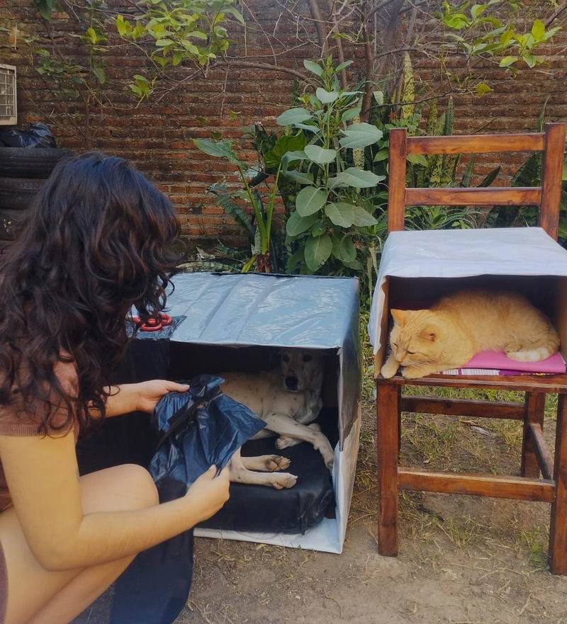 Un grupo de vecinas hace casitas de emergencia para animales de la calle