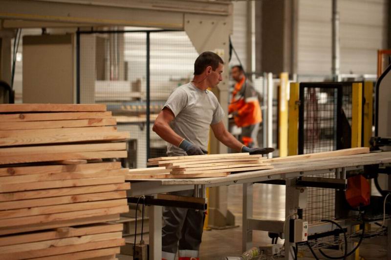 Sector forestal: advierten que faltan industrias para procesar la madera