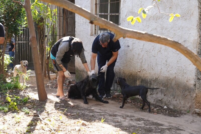 Asisten a un perro en grave estado de salud tras una alerta vecinal