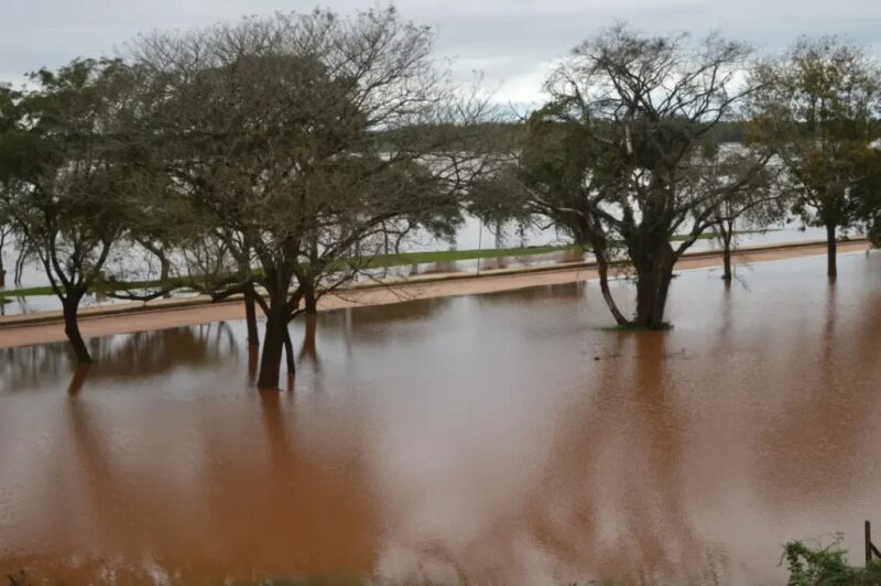 Alerta en Santo Tomé: la crecida del río Uruguay supera los 8 metros