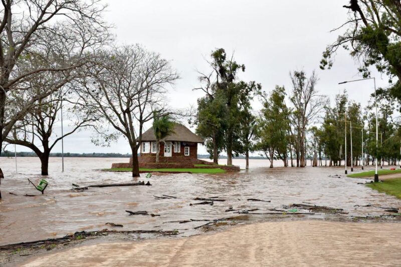 Imágenes impactantes de la crecida en Monte Caseros