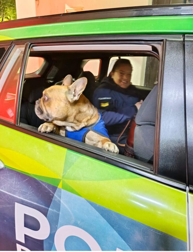 Final feliz: el rápido accionar policial permitió que un perrito se reencuentre con su familia