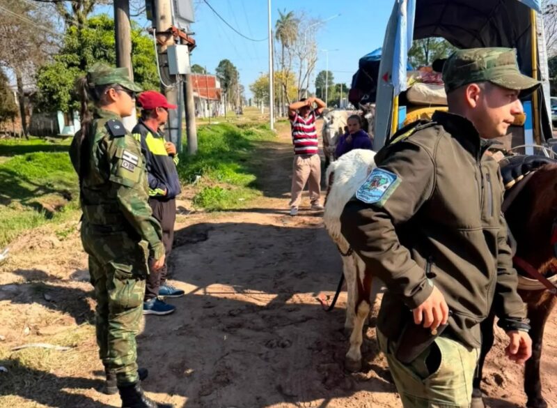 Exhaustivo control policial sobre el estado de los caballos que peregrinan a Itatí