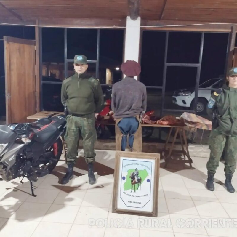 Operativo rural: detienen a un motociclista con carne ilegal y un tatú faenado
