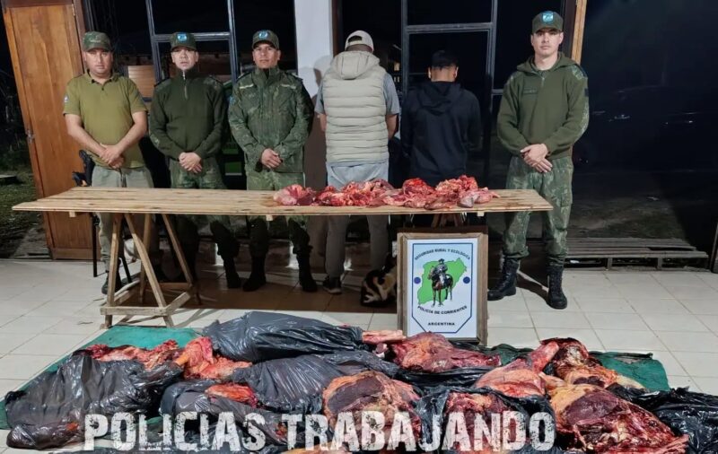 Detuvieron a dos hombres que trasladaban una vaca faenada en un vehículo