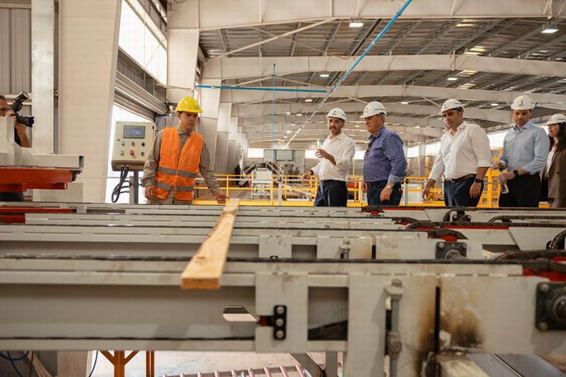 Valdés abre diálogo con la industria maderera por la variable de la energía