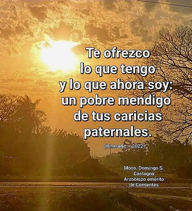 Más aún, la verdadera humanización es la santidad
