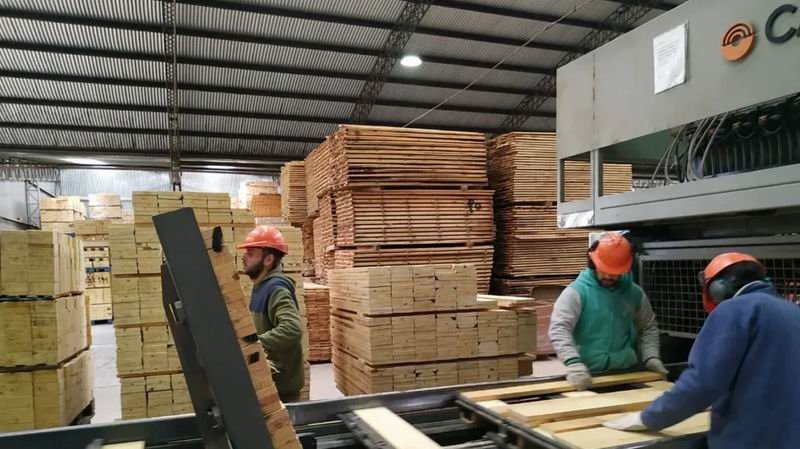 Madereros: alerta por la caída del empleo y pérdida de mano de obra