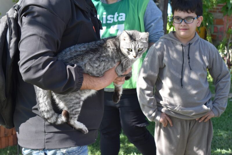 Se realizarán jornadas gratuitas de vacunación de mascotas en Goya y Esquina