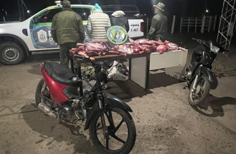 Secuestraron más de 100 kilos de carne de fauna silvestre y hay dos demorados