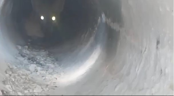 Insólito rescate: dos perros y un zorro, atrapados en una columna de hormigón