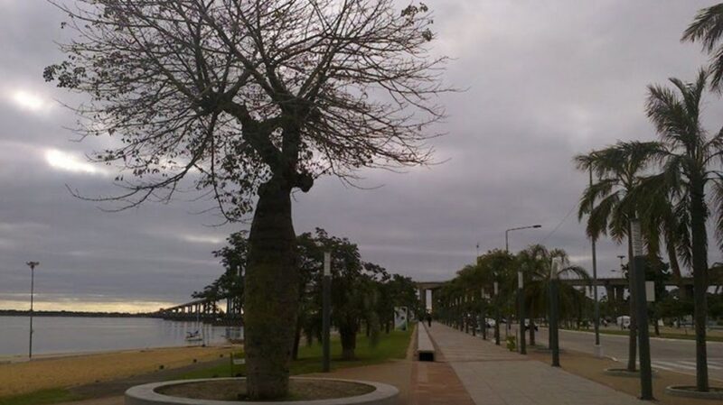 Lunes fresco y muy inestable