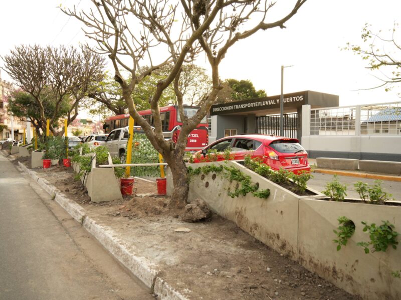 Capital: colocan barrera verde frente al Puerto para un cruce peatonal más seguro