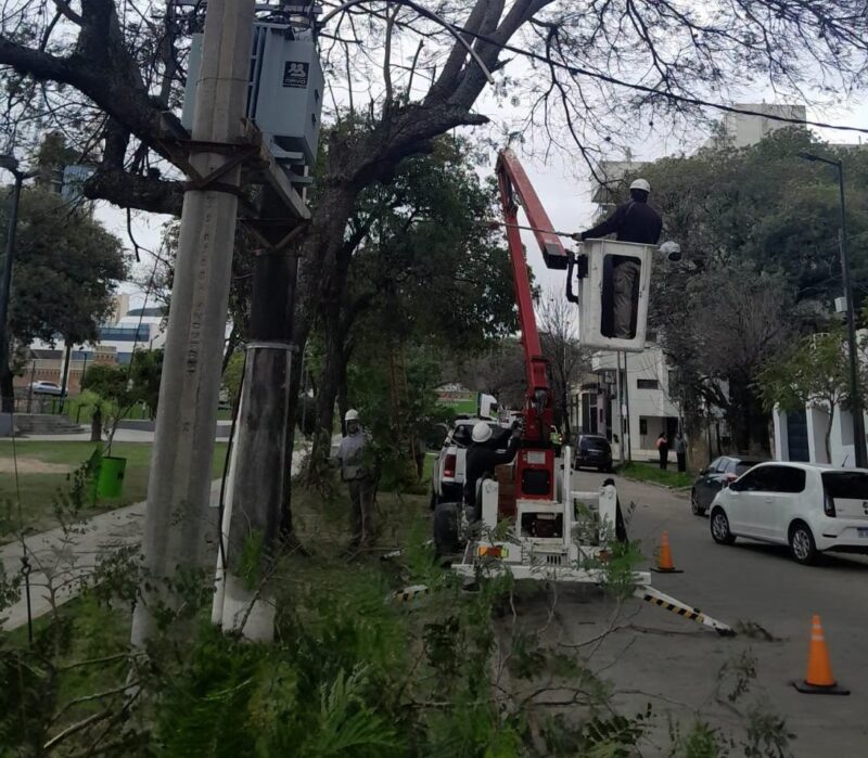 Dpec: tareas de mejoramiento en Virasoro