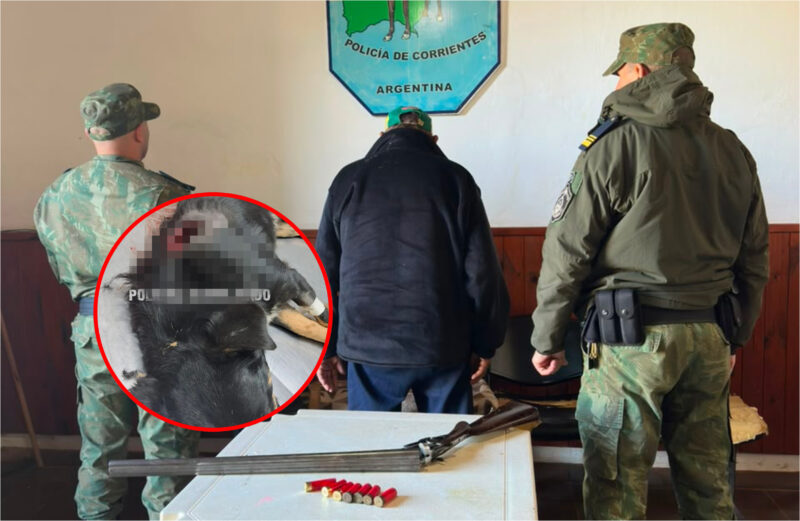 Mató de un escopetazo al perro de su vecino y terminó detenido tras un allanamiento