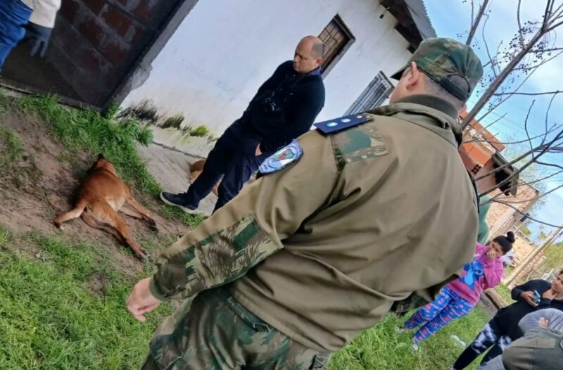 Justicia por Felipe: mataron a un perro de un disparo y hay un detenido