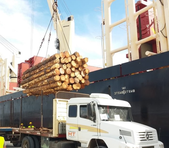 El mercado interno de la madera cayó 40 por ciento en su demanda