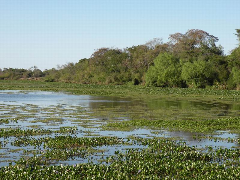 La Triple Frontera vuelve a sufrir por las cenizas y los olores de Alur