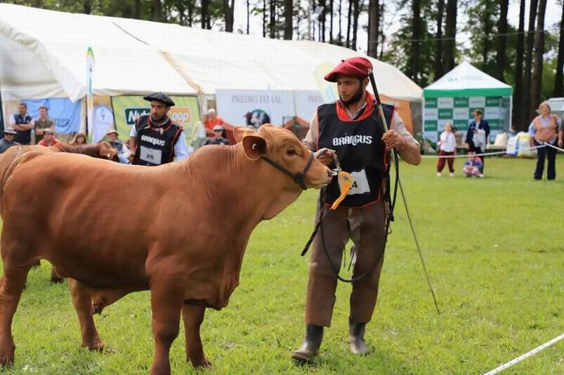 Piden por el régimen del trabajo rural temporario con prestaciones