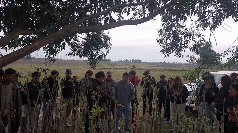 Jóvenes agrotécnicos conocieron en terreno el ciclo de la nuez pecán