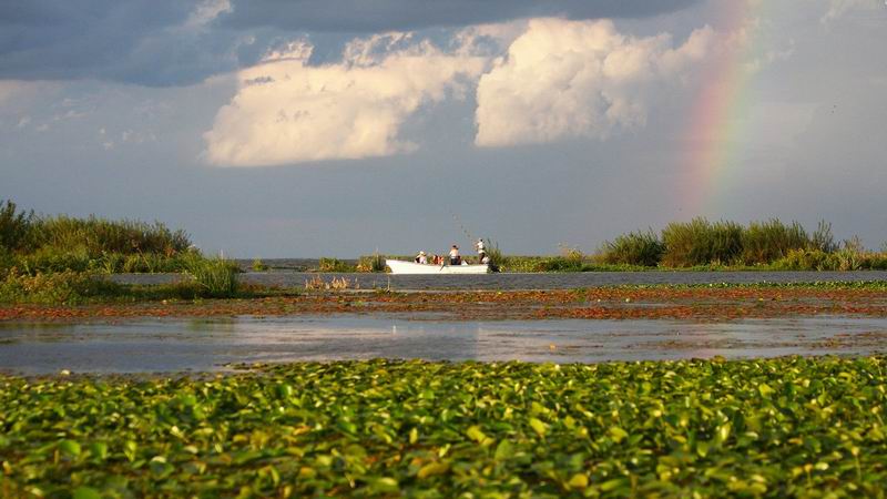 Esteros del Iberá: el gran atractivo para el turismo de naturaleza