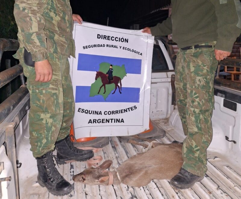 Rescataron a un viracho que se había metido en una casa