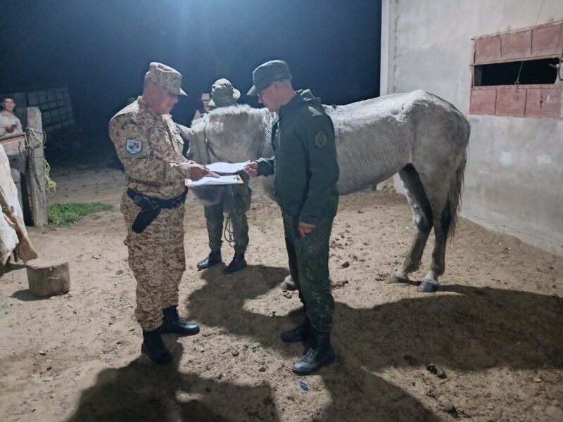 Ituzaingó: cuatreros escaparon de un campo y abandonaron a su caballo