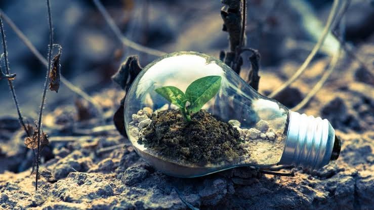 Incentivos adecuados para la acción climática